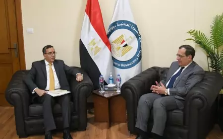 مباحثات بين مصر والهند في مجالات البترول والغاز والبتروكيماويات والهيدروجين والوقود الحيوى