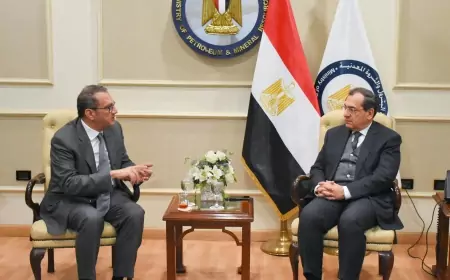 وزير البترول يبحث مع  شركة أديس القابضة لخدمات الحفر برنامج عملها خلال الفترة المقبلة