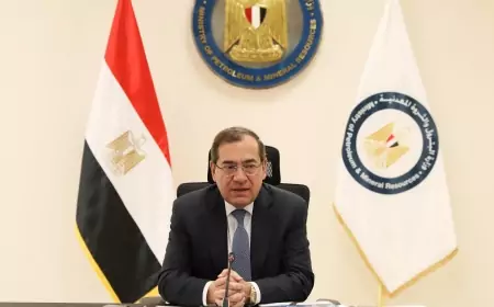 وزير البترول وجود جهاز لتنظيم سوق الغاز و تفعيل دوره مطلبا اساسيا لقيام سوق مفتوح للاستثمار والمنافسة