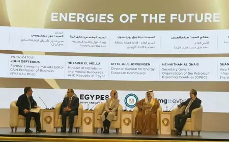 الرئيس السيسى يشهد جلسة حوارية بعنوان طاقات المستقبل