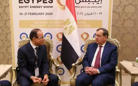 "بكتل العالمية "تتطلع لزيادة التعاون مع مصر