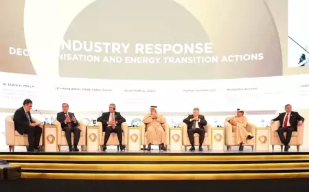 وزير النفط العراقى : لدينا تجربة مميزة فى الاستفادة من غازات الشعلة 