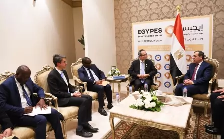 مباحثات بين وزير البترول والبنك الدولي والشركات العالمية