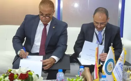 في إيجيس 2024.." إيثيدكو" تجدد تعاقد فائض تصدير الطاقة الكهربية