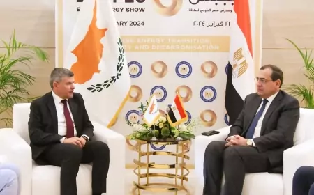 مباحثات مصرية قبرصية فى مجال الغاز الطبيعى 