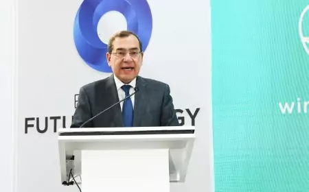 البترول والثروة المعدنية والبيئة يضعان  خارطة طريق لتعزيز أهداف الطاقة الخضراء وخفض الإنبعاثات"