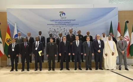 نيابة عن الرئيس السيسي .." الملا" يلقي كلمة مصر غدا امام قمة رؤساء الدول المصدرة للغاز