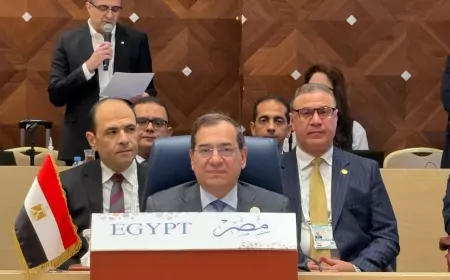 وزير البترول يعقد مباحثات مع الدول المصدرة للغاز   لدفع التعاون في مجال الطاقة وفتح افاق جديدة
