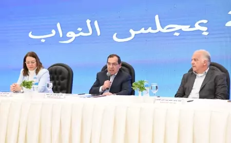 فى حوار مفتوح مع لجنة الطاقة والبيئة بمجلس النواب.. "وزير البترول ": نعمل معاً كفريق فى مواجهة التحديات