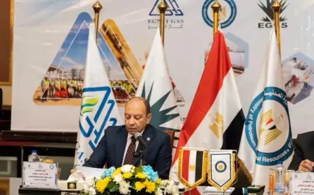 الجمعية العامة لغاز مصر تقرر رفع رأس مال الشركة مليار جنية
