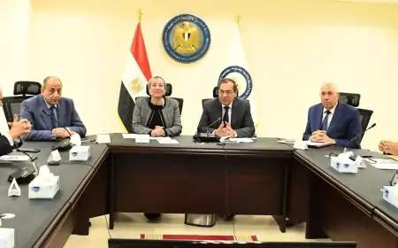 بقيادة البترول .. 6 وزارات تبحث   انتاج وقود الطيران المستدام SAF