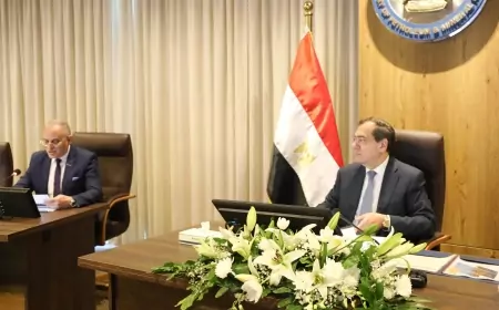 وزير البترول :أنبي تتعاقد على مشروعات خلال الأربع سنوات المقبلة بقيمة 5 مليار دولار