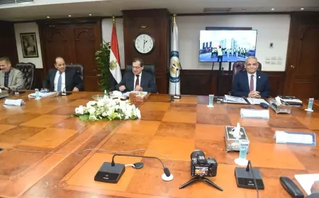 "مودرن جاس " تخدم 1.6 مليون عميل ب9 محافظات