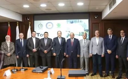 " تاون جاس" تحقق 4 مليار جنيه إيرادات  خلال عام 2023