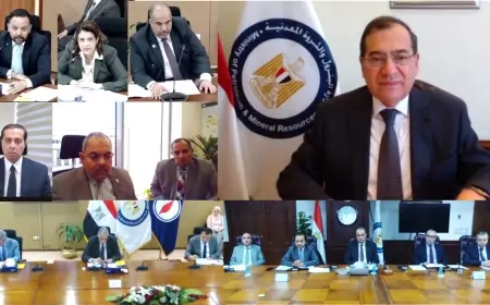 وزير البترول يشيد بحجم الدعم بين الفطاع وشركاؤه بتروناس وشل