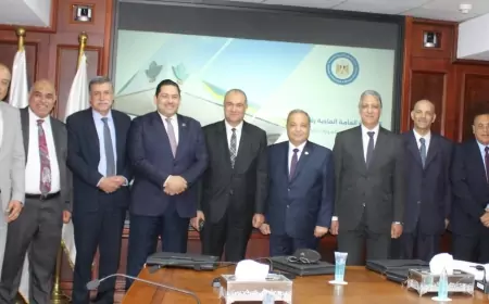 "كارجاس" تحقق مبيعات بقيمة 4 مليار جنيه لأول مرة