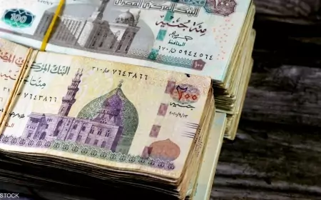 تراجع التضخم في المدن المصرية إلى 33.3% في مارس