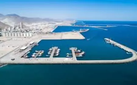 المبيعات الفصلية القوية في سنغافورة تساهم في زيادة أحجام وقود وقود السفن العالمية