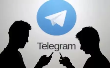 "تليغرام" يلامس المليار مستخدم نشط شهريا خلال عام.. مؤسسه يكشف
