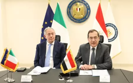 "وزير البترول" يلتقي السيناتور أدولفو اورسو وزير الشركات وصنع في إيطاليا