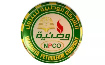 "مصر" تتلقى 7 عروض عالمية ومحلية للاستحواذ على "وطنية"