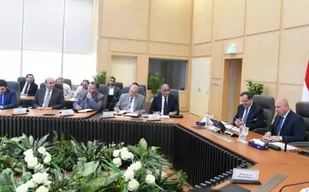 وزيرا النقل والبترول والثروة المعدنية يبحثان  آخر مستجدات  المشروعات  ذات الاهتمام المشترك