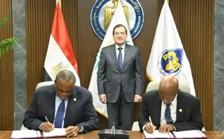 توقيع اتفاق تأسيس و ميثاق البنك الأفريقي للطاقة  بين منتجي البترول الأفارقة  و الافريقي للتصدير والاستيراد