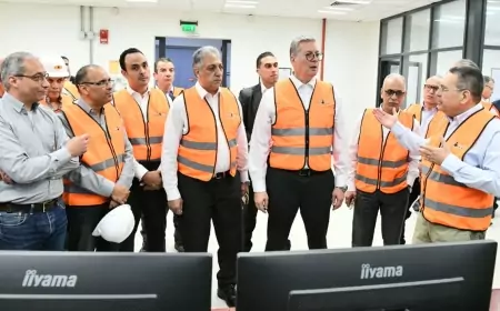 "وزير البترول" يتفقد نقاط تسهيلات الغاز الطبيعي المستورد وسفينة التغييز واستقبال المازوت بميناء السخنه