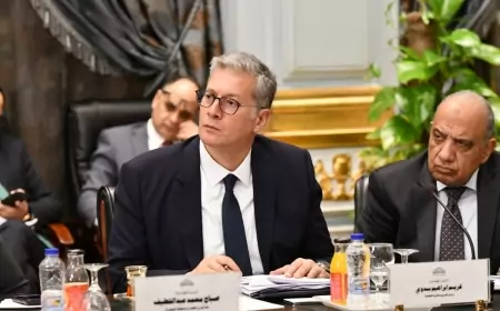 "وزير البترول": نستهدف إنتاج  800 ألف أوقية ذهب و30 مليون طن خامات معدنية  بحلول عام 2030