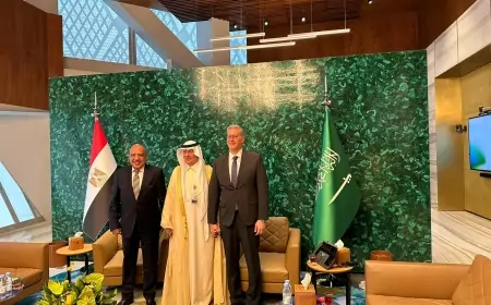 البترول والكهرياء في وزارة الطاقة بالرياض لبحث التعاون والربط الكهربائي بين البلدين