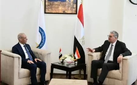مباحثات لتعزيز مساهمة شركات البترول المصرية فى تنفيذ المشروعات داخل العراق