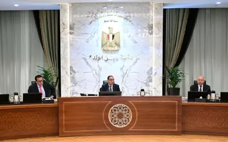 رئيس مجلس الوزراء يوجه  بضرورة العمل المتواصل على تنمية الاستكشافات البترولية والغازية
