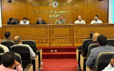 ورشة عمل موسعة بهيئة البترول لشركات الإنتاج بالصحراء الشرقية والغربية وخليج السويس