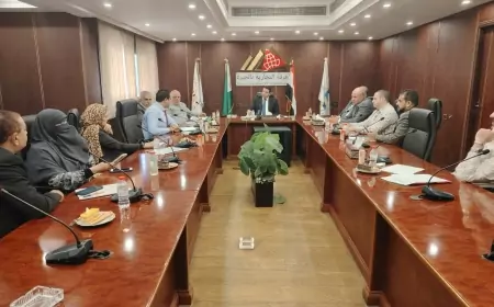 شعبة المصدرين و المستوردين  بغرفة الجيزة التجارية تكشف استراتيجية عمل الشُعبة خلال الفترة المقبلة