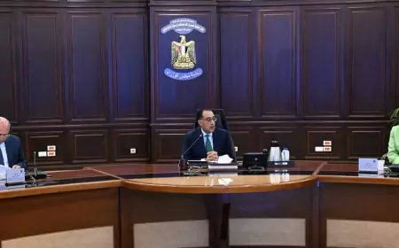 رئيس الوزراء يترأس اجتماع المجلس الأعلى للطاقة