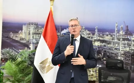 مزايدة عالمية جديدة للبحث عن الغاز الطبيعي في 12 منطقة بالبحر المتوسط ودلتا النيل