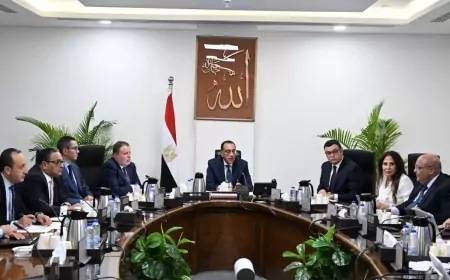 رئيس الوزراء يناقش مسودة قانون يحكم عمل مناطق المال والأعمال