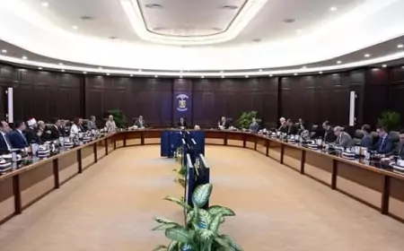 الوزراء يوافق لشركة EGH للطاقة المتجددة على توقيع اتفاقيتى ارض مشروعات الطاقة المتجددة