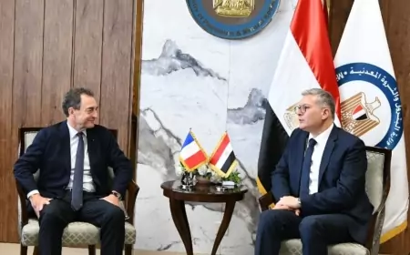 وزير البترول يبحث مع سفير فرنسا بالقاهرة التعاون بين البلدين في مجالات البترول والغاز