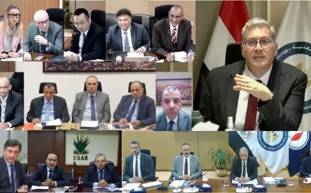 وزير البترول: حوافز الإستثمار الجديدة لشركاء الإنتاج و توافر التكنولوجيا الحديثة يقدمان فرصاً جيدة لزيادة إنتاج البترول والغاز من الصحراء الغربية
