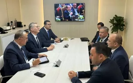 "وزير البترول " يبحث مع الرئيس التنفيذي لمجموعة بتروناس الماليزية خططها الاستثمارية فى مصر