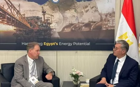 وزير البترول  يبحث مع مساعد وزيرة الطاقة الأمريكية للطاقة الأحفورية وإدارة الكربون سبل تعزيز التعاون فى مجالات الطاقة