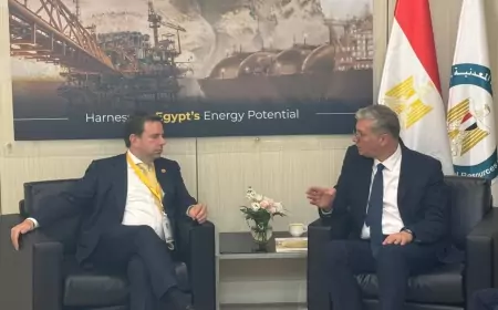 وزير البترول يلتقي نائب  الرئيس التنفيذى للغاز الطبيعى المسال بشركة شل