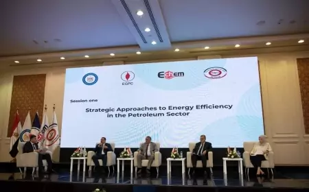 وزارة البترول تعقد  ورشة عمل حول كفاءة  الطاقة في قطاع البترول