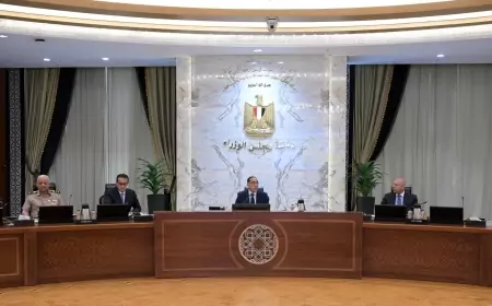 رئيس الوزراء : انقطاع الكهرباء لن يتكرر مرة اخرى