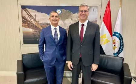 وزير البترول يبحث مع آى بي آر العالمية للطاقة خططها لزيادة معدلات إنتاج البترول والغاز وتطوير الحقول المتقادمة.