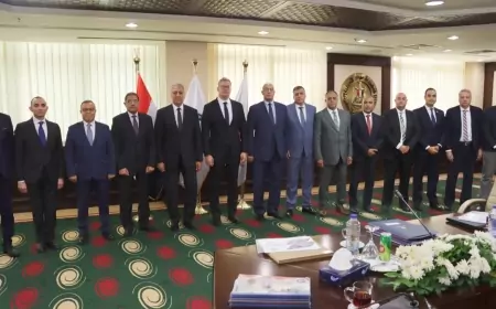 وزير البترول يعتمد  نتائج أعمال شركات "النصر والعامرية للبترول والبتروكيماويات المصرية" عن العام المالي ٢٠٢٣/٢٠٢٤