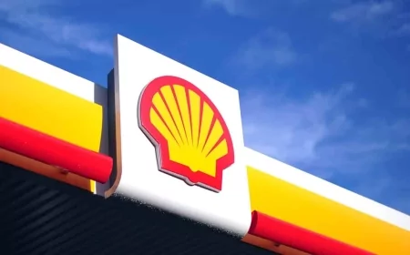 انسحاب شركات النفط الكبرى من مناطق التنقيب في البحر الأحمر واكتشافات غاز جديدة في شمال الإسكندرية