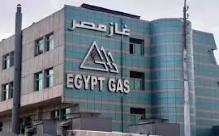 غاز مصر تُحقق نموًا قياسيًا في الأرباح بنسبة 70.4% خلال عام 2024