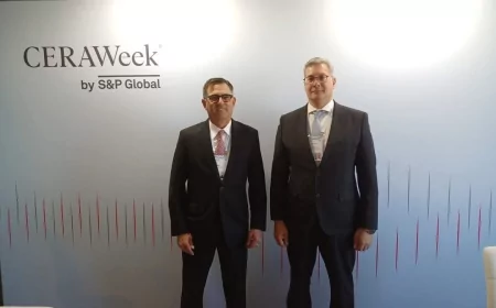 تعزيز التعاون المصري الألماني في مجالات أمن الطاقة والهيدروجين